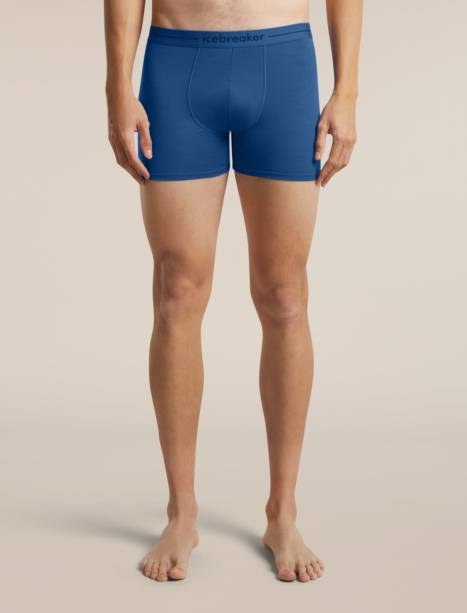 Icebreaker Anatomica merino boxers