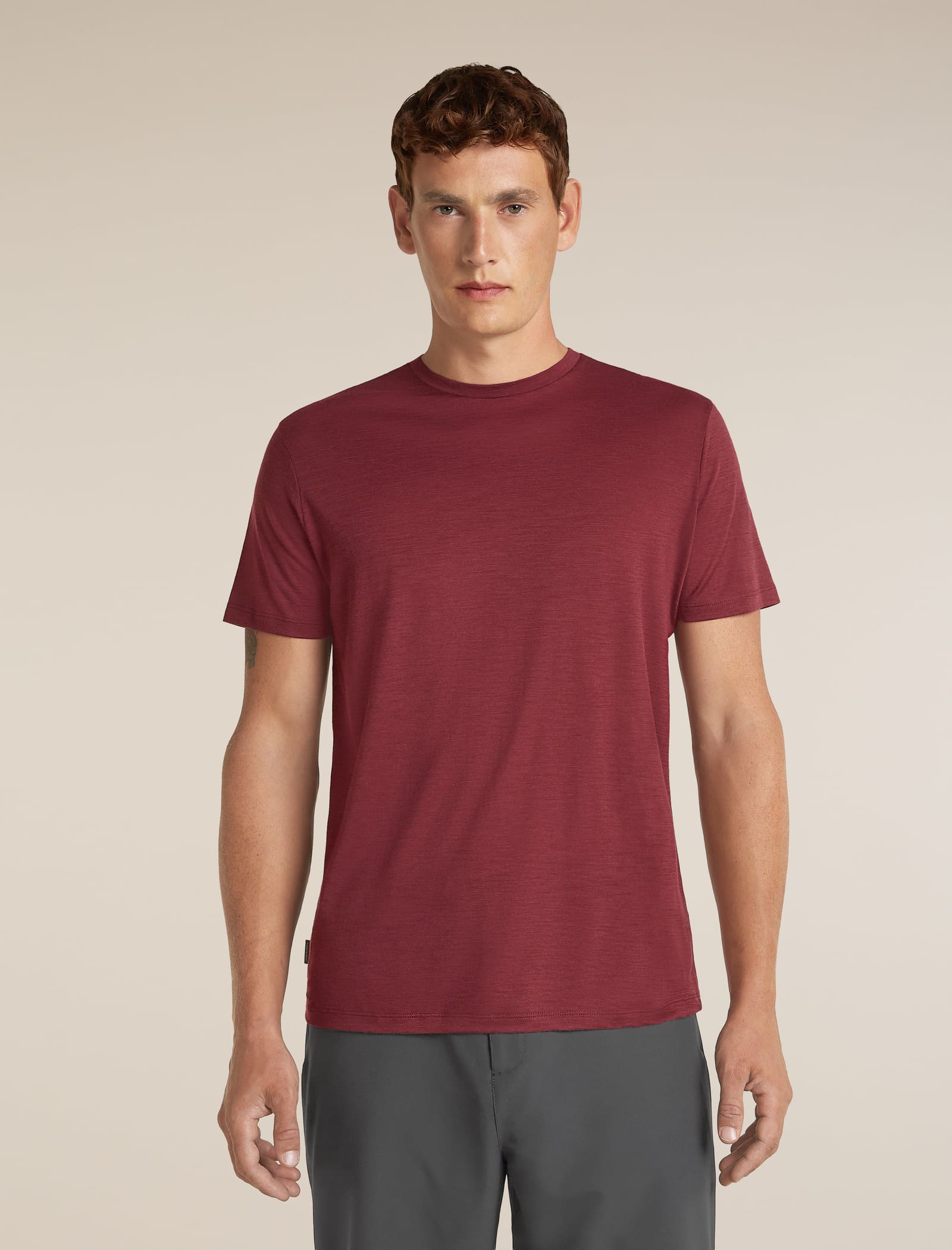 Icebreaker Merino 150 Tech Lite t-shirt